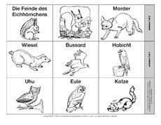 Leporello-Eichhörnchen-Feinde.pdf